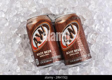 IRVINE, KALIFORNIEN - 12. AUGUST 2023: Zwei Dosen A und W Root Beer auf einem Bett aus Eis. Stockfoto