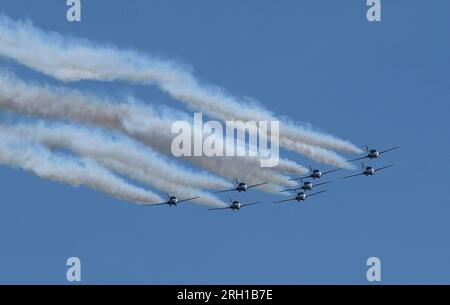 Abbotsford, Kanada. 12. Aug. 2023. Die kanadische Luftwaffe Snowbirds tritt am 12. August 2023 auf der Abbotsford International Airshow 2023 in Abbotsford, British Columbia, Kanada, am Himmel auf. Die 2023 Abbotsford International Airshow ist eine der größten Flugshows Kanadas und findet vom 11. August bis 13. August hier statt. Kredit: Liang Sen/Xinhua/Alamy Live News Stockfoto