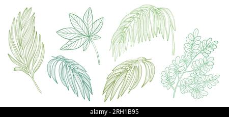 Set aus grünen tropischen Palmblättern und Zweigen. Vektorillustration. Stock Vektor