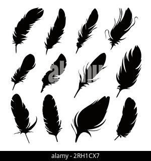 Schwarze Silhouetten einer Vogelfeder. Federkollektion. Vektor isoliert auf weiß Stock Vektor