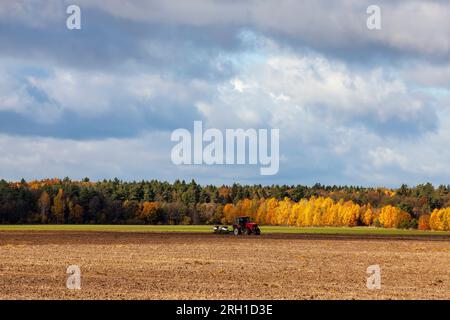 Bodenbearbeitung mit einem roten Traktor mit Pflügen auf einem landwirtschaftlichen Feld, Bodenbearbeitung und Bodenvorbereitung in der Herbstsaison während des Laubfalles Stockfoto
