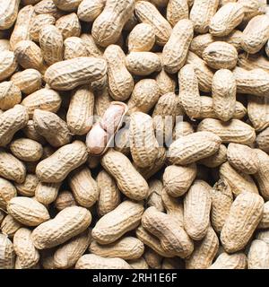 Blick von oben auf Erdnüsse in der Schale, Abflachung von geschälten und ungeschälten Erdnüssen auf einer Marmorplatte, Blick von oben auf nigerianische geröstete Erdnüsse Stockfoto