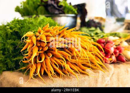 Flohmarktstand mit Eiern und verschiedenen frischen Gemüsesorten in einer vorzeigbaren Ausstellung Stockfoto