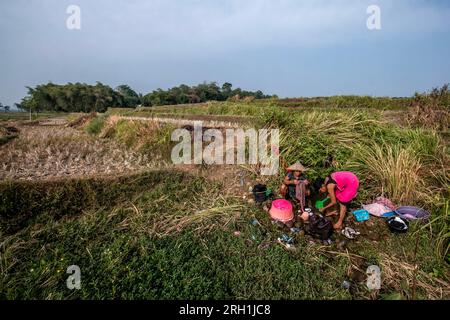 Die Bewohner in Bogor, West Java, Indonesien, waren gezwungen, Infiltrationswasser auf dem Reisfeld zu verwenden, um Kleidung zu waschen am 12. August 2023 Stockfoto