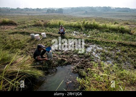 Einwohner in Bogor, West-Java, Indonesien, sammelten am 12. August 2023 Wasserinfiltrationen im Reisfeld für ihre Bedürfnisse zu Hause Stockfoto