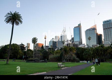 Sydney, Australien. 10. Aug. 2023. Allgemeiner Blick auf die Skyline von Sydney einschließlich Sydney Tower Eye in Sydney, Australien. (Foto: Daniela Porcelli/Sports Press Photo/C - FRIST VON EINER STUNDE - FTP NUR AKTIVIEREN, WENN BILDER WENIGER ALS EINE STUNDE ALT SIND - Alamy) Guthaben: SPP Sport Press Photo. Alamy Live News Stockfoto