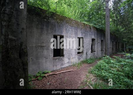 Einstöckiges Betongebäude namens Kasyno, auf dem Boden des Komplexes Osowka von Projekt Riese in Gluszyca, Polen. 1943 startete Nazideutschland Stockfoto