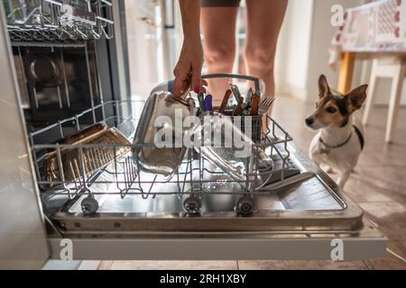 Lächelnde junge weiße Frau, die zu Hause Geschirr in die Spülmaschine legt Stockfoto