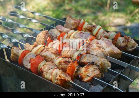 Gegrillte Fleischstücke auf Spießen, Kebab mit Gemüse, Kochvorgang auf Feuer, auf Brazier. Gebratenes mariniertes Fleisch, gegrillt, Picknick Stockfoto