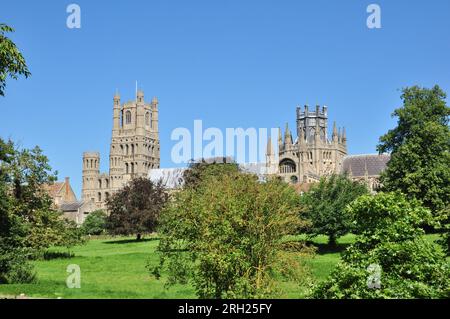 Ländlicher Blick auf die Kathedrale und Bäume vom Park in Ely, Cambridgeshire, England, Großbritannien Stockfoto