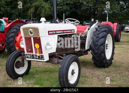 Oldtimer-Traktor – David Brown Selectamatic 880 Stockfoto