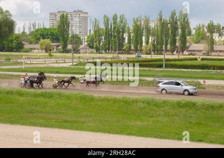 Rennpferd in Bewegung. Jockeys und Pferde auf dem Hippodrom in Kiew. Rennpferd-Hintergrund. Hengste in der Gurt auf dem Feld. Reiter und Pferde in Aktion. Stockfoto