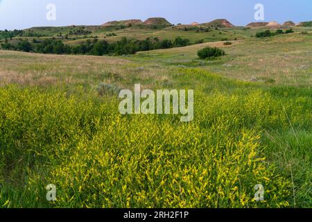 Sanfte Prärie und Badlands im Theodore Roosevelt National Park außerhalb von Medora, North Dakota Stockfoto