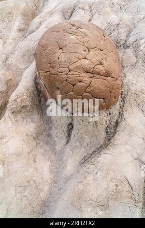 Faszinierende Formationen, bekannt als Kanonenkugelkonkretionen in der Nordeinheit des Theodore Roosevelt National Park Stockfoto