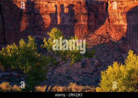 Schatten der drei Klatschformationen bei Sonnenaufgang im Arches-Nationalpark vor Moab, Utah Stockfoto