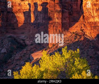 Schatten der drei Klatschformationen bei Sonnenaufgang im Arches-Nationalpark vor Moab, Utah Stockfoto