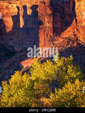 Schatten der drei Klatschformationen bei Sonnenaufgang im Arches-Nationalpark vor Moab, Utah Stockfoto