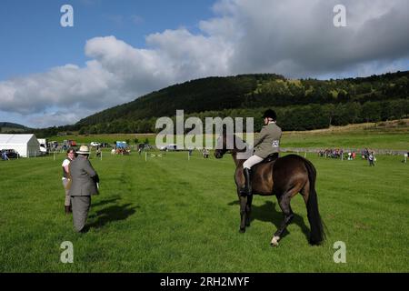 Peebles, Großbritannien. 13. Aug. 2023. Peebles, Großbritannien. Peebles Agricultural Society, Grand Open Show, findet am Sonntag, den 13. August 2023, auf den Feldern der Nether Horsburgh Farm, Cardrona, Peebles statt. Pferde und Vieh sowie Ausstellungen von Landmaschinen, Hauptveranstaltungen von StuntWorld International auch in der Hauptringarena am Nachmittag besuchten große Menschenmassen die Veranstaltung, die dieses Jahr an einem Sonntag stattfand. Kredit: Rob Gray/Alamy Live News Stockfoto