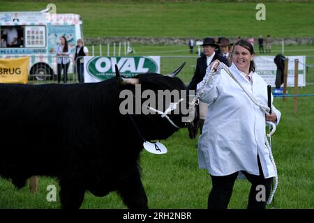 Peebles, Großbritannien. 13. Aug. 2023. Peebles, Großbritannien. Peebles Agricultural Society, Grand Open Show, findet am Sonntag, den 13. August 2023, auf den Feldern der Nether Horsburgh Farm, Cardrona, Peebles statt. Pferde und Vieh sowie Ausstellungen von Landmaschinen, Hauptveranstaltungen von StuntWorld International auch in der Hauptringarena am Nachmittag besuchten große Menschenmassen die Veranstaltung, die dieses Jahr an einem Sonntag stattfand. Kredit: Rob Gray/Alamy Live News Stockfoto