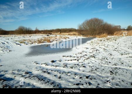 Winterlandschaft mit Blick auf gefrorenes Wasser und Schnee auf einem gepflügten Feld, Nowiny, Ostpolen Stockfoto