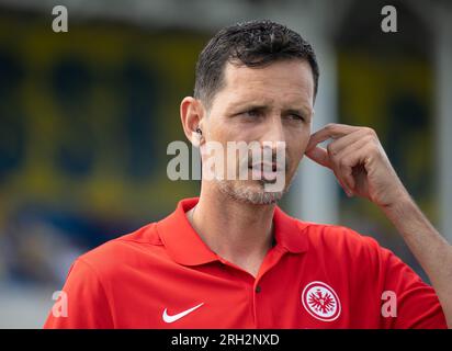 Leipzig, Deutschland. 13. Aug. 2023. Fußball: DFB Cup, Lok Leipzig - Eintracht Frankfurt, 1. Runde, Bruno Plache Stadion. Der Frankfurter Trainer Dino Toppmöller ist im Stadion. Kredit: Hendrik Schmidt/dpa - WICHTIGER HINWEIS: gemäß den Anforderungen der DFL Deutsche Fußball Liga und des DFB Deutscher Fußball-Bund ist es verboten, im Stadion aufgenommene Fotos und/oder das Spiel in Form von Sequenzbildern und/oder videoähnlichen Fotoserien zu verwenden oder verwenden zu lassen./dpa/Alamy Live News Stockfoto