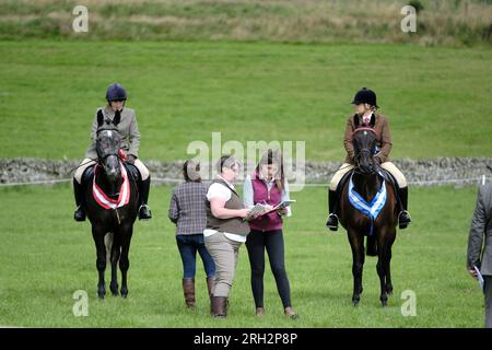 Peebles, Großbritannien. 13. Aug. 2023. Peebles, Großbritannien. Peebles Agricultural Society, Grand Open Show, findet am Sonntag, den 13. August 2023, auf den Feldern der Nether Horsburgh Farm, Cardrona, Peebles statt. Pferde und Vieh sowie Ausstellungen von Landmaschinen, Hauptveranstaltungen von StuntWorld International auch in der Hauptringarena am Nachmittag besuchten große Menschenmassen die Veranstaltung, die dieses Jahr an einem Sonntag stattfand. Kredit: Rob Gray/Alamy Live News Stockfoto