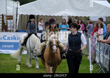 Peebles, Großbritannien. 13. Aug. 2023. Peebles, Großbritannien. Peebles Agricultural Society, Grand Open Show, findet am Sonntag, den 13. August 2023, auf den Feldern der Nether Horsburgh Farm, Cardrona, Peebles statt. Pferde und Vieh sowie Ausstellungen von Landmaschinen, Hauptveranstaltungen von StuntWorld International auch in der Hauptringarena am Nachmittag besuchten große Menschenmassen die Veranstaltung, die dieses Jahr an einem Sonntag stattfand. Kredit: Rob Gray/Alamy Live News Stockfoto