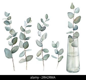 Eukalyptus, Blumenstrauß in einer Vase. Von Hand gezeichneter Clipart isoliert auf weißem Hintergrund Aquarell Blumenmuster Illustration Set grüne Blattnäste Kollektion, für Stockfoto