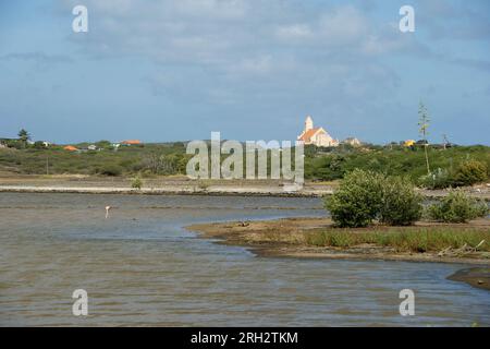 Die Salzpfannen des Dorfes Sint Willibrordus in Curacao, mit der römisch-katholischen Kirche als klarem Wahrzeichen im Hintergrund Stockfoto