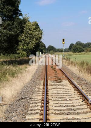 Gerade Spur, mit Signal. Scheinbar endlos. Rechts sind Bäume und links eine Wiese. Stockfoto