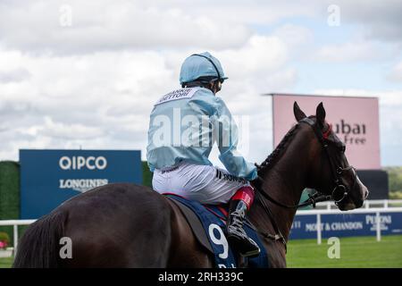 Ascot, Berkshire, Großbritannien. 12. August 2023. Horse Dream Composer, geritten von Jockey Frankie Dettori, geht auf die Rennstrecke, um beim Dubai Duty Free Shergar Cup Dash auf der Rennbahn Ascot ein Rennen zu fahren. Kredit: Maureen McLean/Alamy Live News Stockfoto