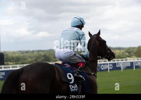 Ascot, Berkshire, Großbritannien. 12. August 2023. Horse Dream Composer, geritten von Jockey Frankie Dettori, geht auf die Rennstrecke, um beim Dubai Duty Free Shergar Cup Dash auf der Rennbahn Ascot ein Rennen zu fahren. Kredit: Maureen McLean/Alamy Live News Stockfoto