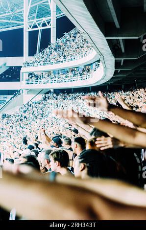 Blick auf die Fußballfans von Botafogo im Nilton Santos Stadium während eines Spiels der A-Serie Stockfoto