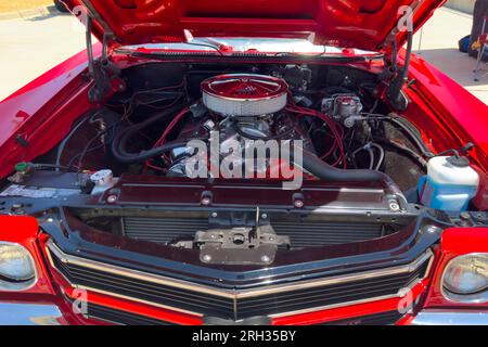 Little Elm, Texas - 11. Juni 2023: Chevrolet Corvette-Motor auf der Autoshow. Stockfoto