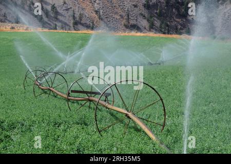 Ein Bewässerungssystem auf Rädern spritzt Wasser auf einem landwirtschaftlichen Feld im Süden Kanadas Stockfoto