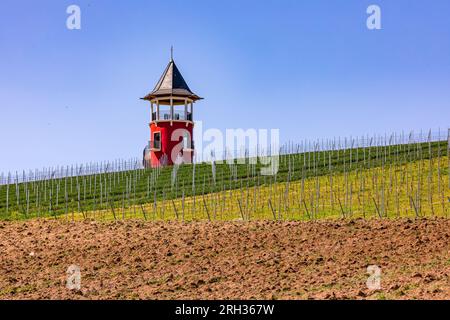 Der Burgunder Turm in Rheinhessen ist ein Aussichtsturm, der von Weinbergen umgeben ist Stockfoto