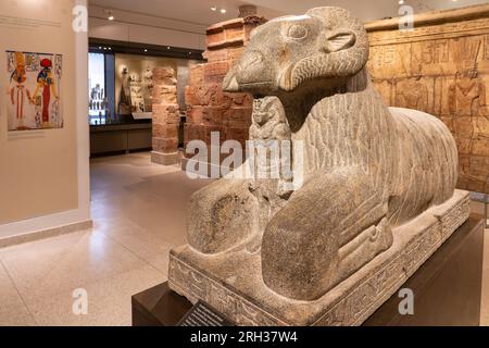 Im Inneren des Ashmolean Museum, Oxford, Großbritannien Stockfoto