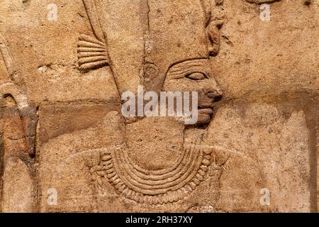 Details an der Wand des Schreins des Pharaoh Taharqa in Amun-Re, dem Ashmolean Museum, Oxford, Großbritannien Stockfoto