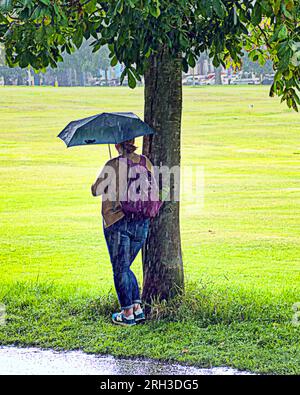 Edinburgh, Schottland, Großbritannien. 13h. August 2023. UK Weather: Die Wiesen sind ein berühmter Greenspot in der Stadt. Es war warm und nass, als die Touristen die Straßen der Stadt inmitten der Straßenränder mit ihren Läden befallen haben. Credit Gerard Ferry/Alamy Live News Stockfoto