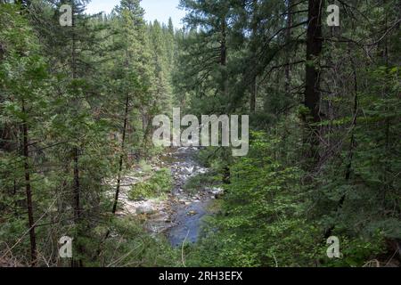 Der südliche Abzweig des Stanislaus River fließt durch den Nadelwald in den Bergen der Sierra Nevada in Kalifornien. Stockfoto