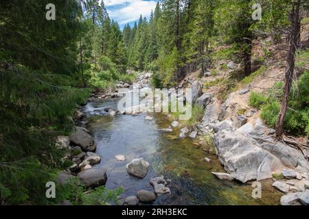 Der südliche Abzweig des Stanislaus River fließt durch den Nadelwald in den Bergen der Sierra Nevada in Kalifornien. Stockfoto