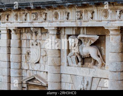 Renaissance-Skulptur eines geflügelten Löwen über dem Tor zur Stadt Zadar, Kroatien, Dalmatien. Stockfoto