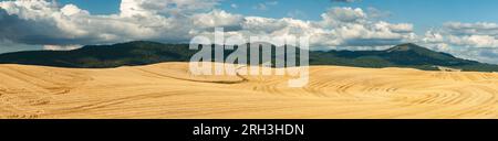 Geerntete Weizenfelder am Fuße der Palouse Mountain Range. In der Nähe von Moskau, Idaho, USA. Stockfoto