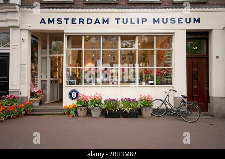 Amsterdam Tulpenmuseum in Prinsengracht, Amsterdam, Niederlande Stockfoto