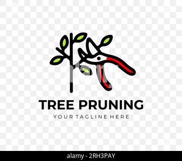 Baumschnitt, Gartenschere und Gartenschere, farbiges Grafikdesign. Pflanzen, Beschneiden, Natur, Landwirtschaft, Garten und Garten, Vektordesign Stock Vektor