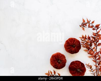 Herbstkomposition mit dunkelorangen Samtkürbissen und orangefarbenem Trockenzweig auf weißem Hintergrund. Herbst, Herbst, halloween-Konzept, Thanksgiving, Stockfoto
