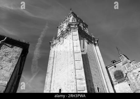 Europa, Spanien, Kastilien und Leon, Burgo de Osma, die Kathedrale von Burgo de Osma Stockfoto