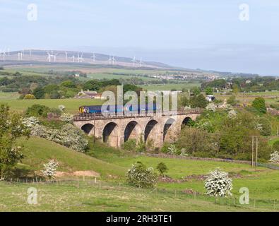 ScotRail Klasse 156 2 Kutschensprinterzug über Crawick Viadukt (Sanquhar, Dumfries und Galloway) landschaftlich reizvolle Eisenbahn Stockfoto