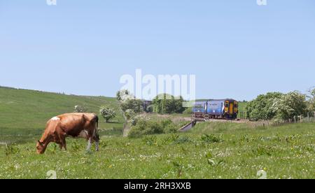 ScotRail-Dieseltriebwagen der Baureihe 156 auf der ländlichen Glasgow-Strecke und der südwestlichen Strecke in Ayrshire, die durch die Landschaft führt Stockfoto