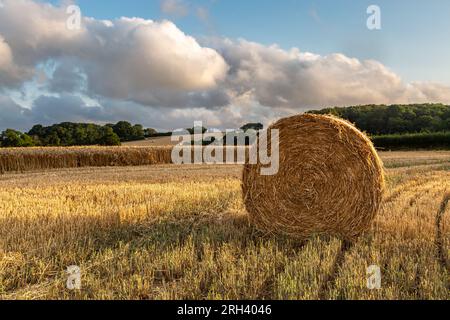 Ein Heuballen in einem kürzlich gemähten Feld in Sussex, an einem Sommerabend Stockfoto